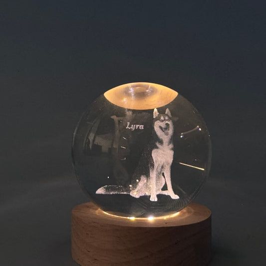 Custom Pet Crystal Glass Ball Keepsake | Pet Memorabilia|Pet Toys